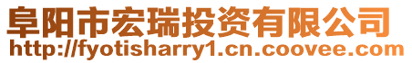 阜陽(yáng)市宏瑞投資有限公司