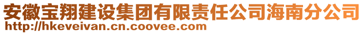 安徽寶翔建設集團有限責任公司海南分公司