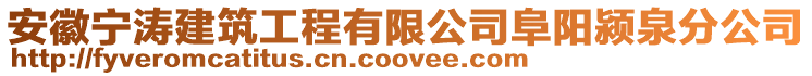 安徽寧濤建筑工程有限公司阜陽潁泉分公司