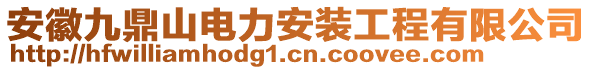 安徽九鼎山電力安裝工程有限公司