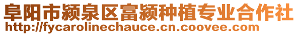 阜陽(yáng)市潁泉區(qū)富潁種植專業(yè)合作社