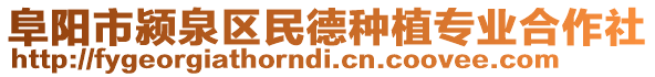 阜陽市潁泉區(qū)民德種植專業(yè)合作社