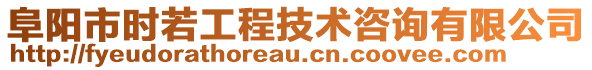 阜陽市時若工程技術咨詢有限公司