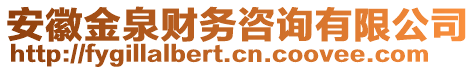 安徽金泉財(cái)務(wù)咨詢有限公司