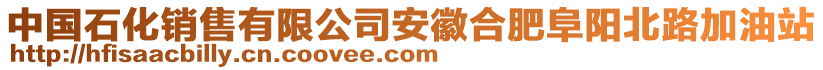 中國(guó)石化銷售有限公司安徽合肥阜陽(yáng)北路加油站