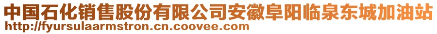 中國石化銷售股份有限公司安徽阜陽臨泉東城加油站