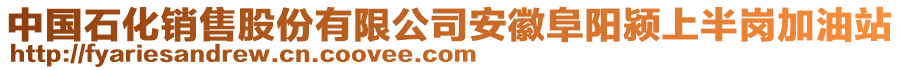 中國石化銷售股份有限公司安徽阜陽潁上半崗加油站