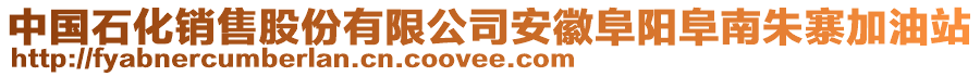 中國石化銷售股份有限公司安徽阜陽阜南朱寨加油站