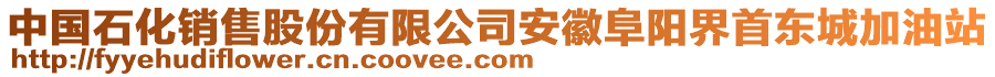 中國石化銷售股份有限公司安徽阜陽界首東城加油站