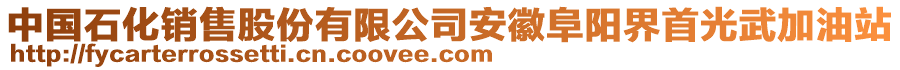 中國石化銷售股份有限公司安徽阜陽界首光武加油站