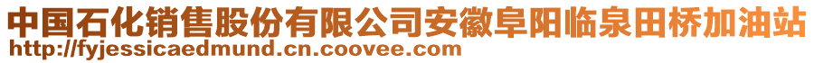 中國石化銷售股份有限公司安徽阜陽臨泉田橋加油站