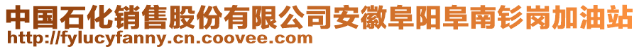 中國石化銷售股份有限公司安徽阜陽阜南釤崗加油站