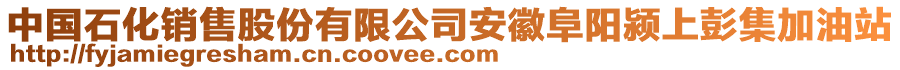 中國石化銷售股份有限公司安徽阜陽潁上彭集加油站