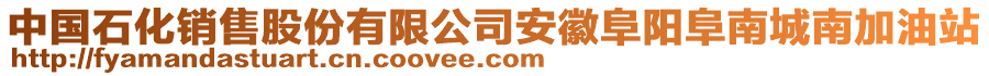 中國石化銷售股份有限公司安徽阜陽阜南城南加油站