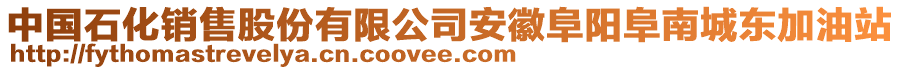 中國石化銷售股份有限公司安徽阜陽阜南城東加油站