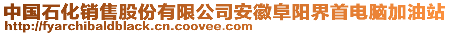 中國石化銷售股份有限公司安徽阜陽界首電腦加油站