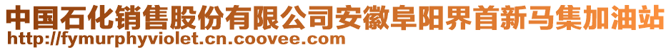 中國(guó)石化銷(xiāo)售股份有限公司安徽阜陽(yáng)界首新馬集加油站