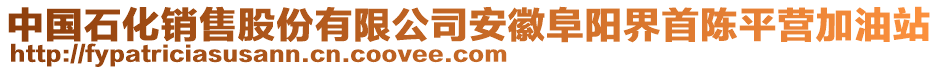 中國(guó)石化銷售股份有限公司安徽阜陽(yáng)界首陳平營(yíng)加油站