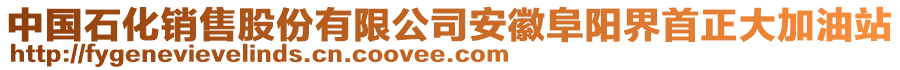 中國(guó)石化銷售股份有限公司安徽阜陽界首正大加油站