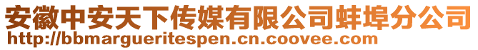 安徽中安天下傳媒有限公司蚌埠分公司