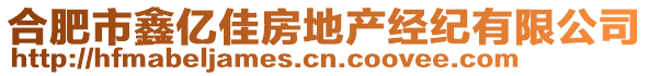 合肥市鑫億佳房地產(chǎn)經(jīng)紀(jì)有限公司