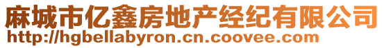 麻城市億鑫房地產(chǎn)經(jīng)紀(jì)有限公司