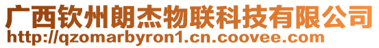 廣西欽州朗杰物聯科技有限公司