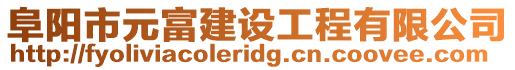 阜陽市元富建設工程有限公司