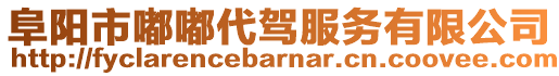 阜陽市嘟嘟代駕服務有限公司