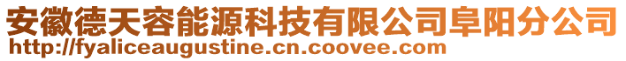 安徽德天容能源科技有限公司阜陽分公司