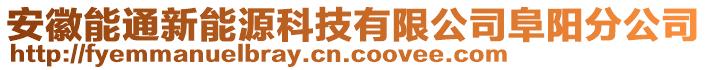 安徽能通新能源科技有限公司阜陽分公司