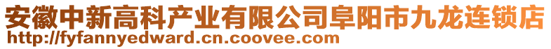 安徽中新高科產業有限公司阜陽市九龍連鎖店