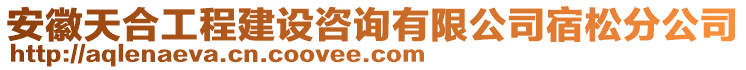 安徽天合工程建設咨詢有限公司宿松分公司