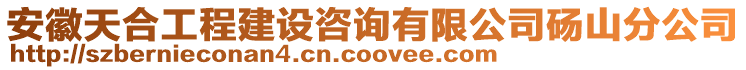 安徽天合工程建設咨詢有限公司碭山分公司