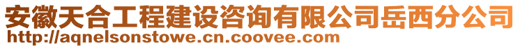 安徽天合工程建設(shè)咨詢有限公司岳西分公司