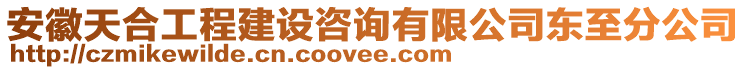 安徽天合工程建設咨詢有限公司東至分公司
