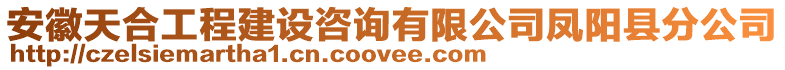 安徽天合工程建設(shè)咨詢有限公司鳳陽縣分公司