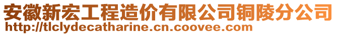 安徽新宏工程造價有限公司銅陵分公司