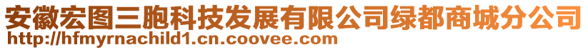 安徽宏圖三胞科技發展有限公司綠都商城分公司