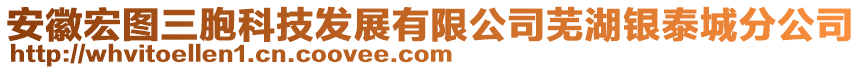 安徽宏圖三胞科技發展有限公司蕪湖銀泰城分公司