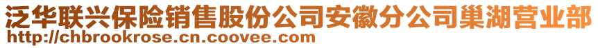 泛華聯興保險銷售股份公司安徽分公司巢湖營業部