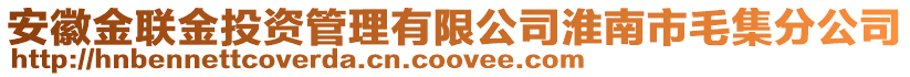 安徽金聯(lián)金投資管理有限公司淮南市毛集分公司