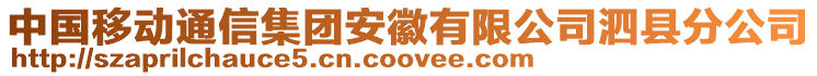中國移動通信集團安徽有限公司泗縣分公司