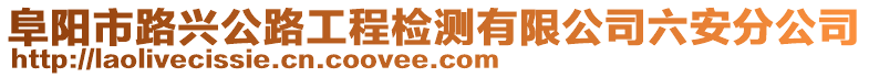 阜陽市路興公路工程檢測有限公司六安分公司