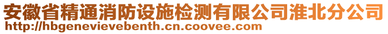 安徽省精通消防設施檢測有限公司淮北分公司
