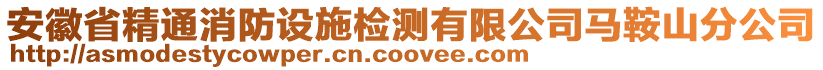 安徽省精通消防設(shè)施檢測(cè)有限公司馬鞍山分公司