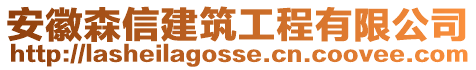 安徽森信建筑工程有限公司