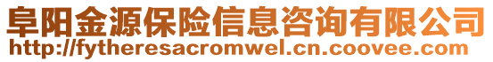 阜陽(yáng)金源保險(xiǎn)信息咨詢有限公司