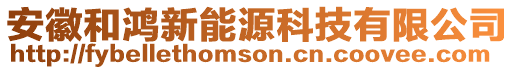 安徽和鴻新能源科技有限公司