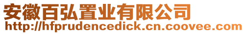 安徽百弘置業(yè)有限公司
